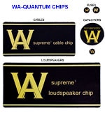 WA Quantum Chips