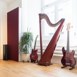 PSI Audio AVAA C214 - In a music room